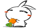 大小兔子系列QQ微信表情 卡通可爱QQ微信表情